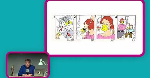 Onderwijstip 5: Bij het begin van het schooljaar… Bear it&nbsp;all